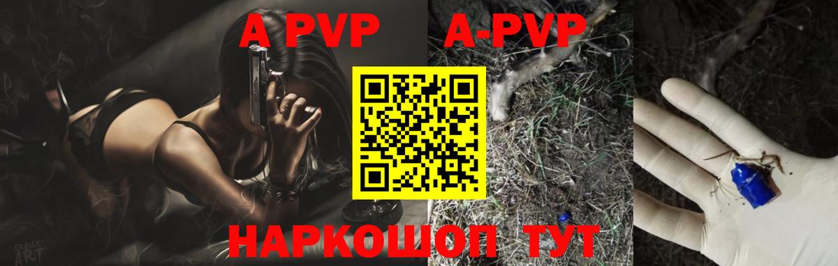 A-PVP СК КРИС Салехард