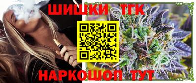 крисы Можга