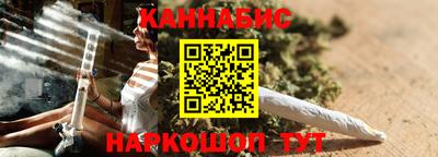 крисы Можга