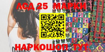 крисы Можга