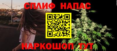 крисы Можга