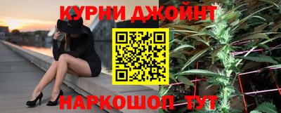 крисы Можга