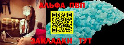 крисы Можга