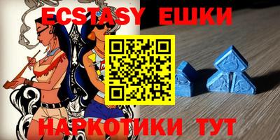 крисы Можга