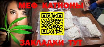 крисы Можга